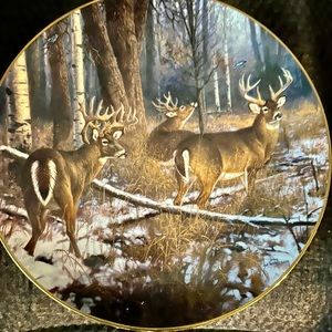 Porcelain Plate